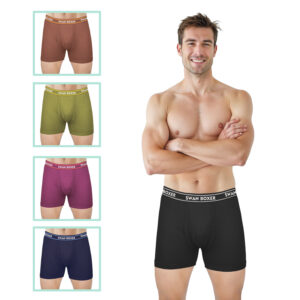 Swan Boxer men's trunk product photo